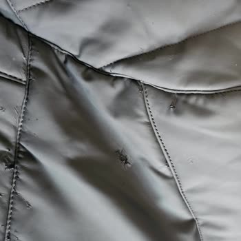 LCW Montum Beklentilerimi Karşılamadı