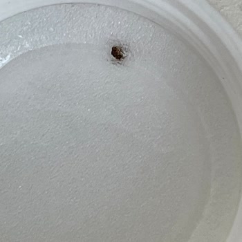 Trendyol'dan Gelen Ürünlerde Şok Edici Durumlar