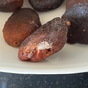 Gold Harvest Kuruyemiş Master Farm Kurtlandı