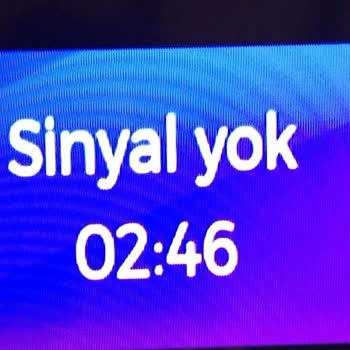 Bibaha Bungalow Sapanca Pişmanlığı
