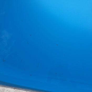 Bibaha Bungalow Sapanca Pişmanlığı