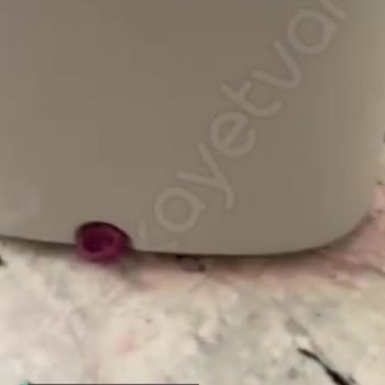 Parex Wondero Temizlik Setinin Su Sızdırması Yerler Pis Su Oldu!