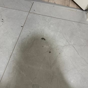 Roborock S8 MaxV Ultra: Hayal Kırıklığı Yaratan Performans