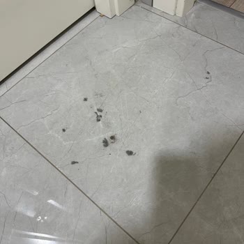 Roborock S8 MaxV Ultra: Hayal Kırıklığı Yaratan Performans