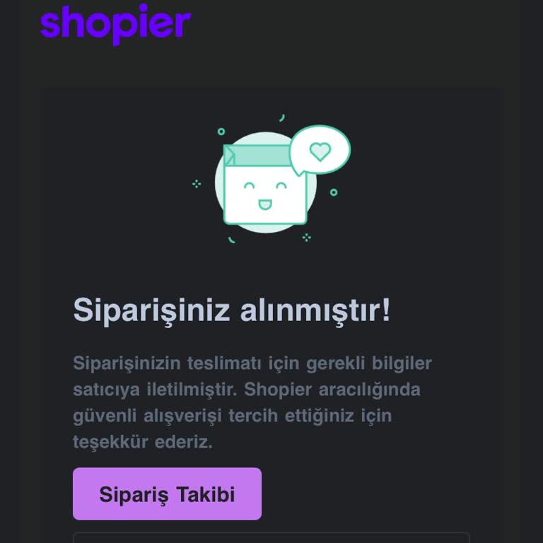 Tattoo5king'den Teslim Edilmeyen Geçici Dövme Sorunu