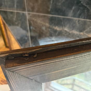 Kartepe Yeşil Düş Vadisi Bungalov Tatilinde Böcek Sorunu Ve İade Krizi