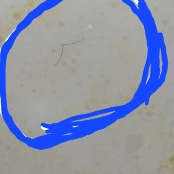 Çorbacı Şemsiye'de Şok Edici Deneyim