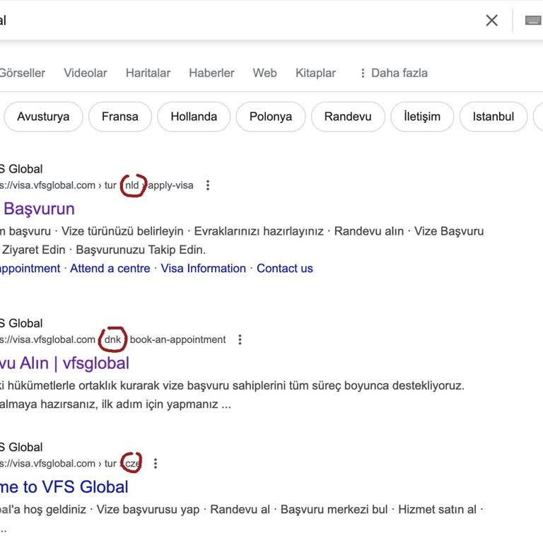 VFS Global Link Sorunu: Yanlış Ülke Seçimi