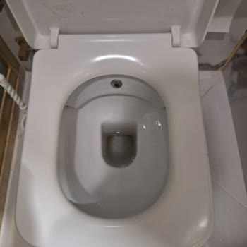 Creavit Klozet Kapaklarındaki Çatlamalar Ve İlgisizlik