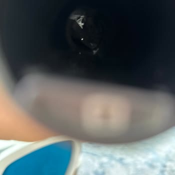 Dyson V12 Süpürge Boru Tıkanıklığı Ve Destek Sorunu