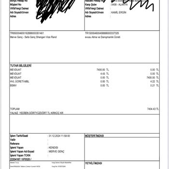 Ocean Vize Danışmanlık: Taahhüt Edilen Schengen Vizesi Ve İletişim Sorunları