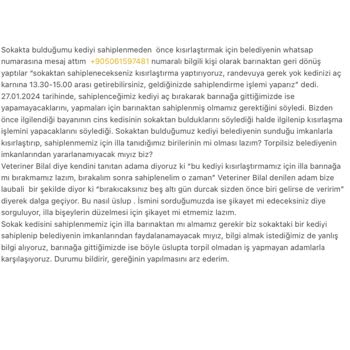 Barınak Hizmetlerinde İletişim Ve Süreç Sorunları