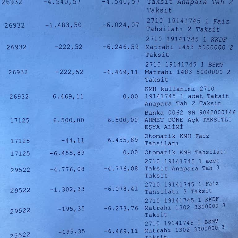 Otomatik Ödeme Hatası Nedeniyle Haksız Faiz Yansıtılması