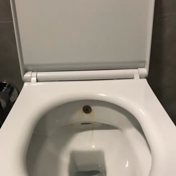 Koçtaş'tan Aldığım Klozet Sorunları Ve İletişim Krizi