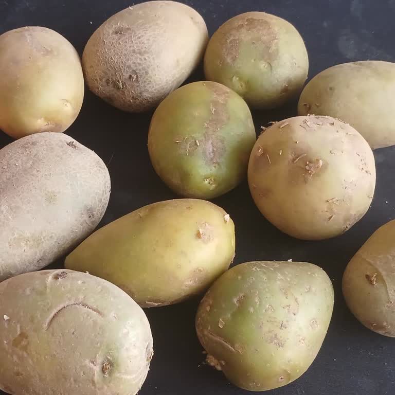 Yeşillenmiş Patateslerle Sağlığımız Tehdit Altında