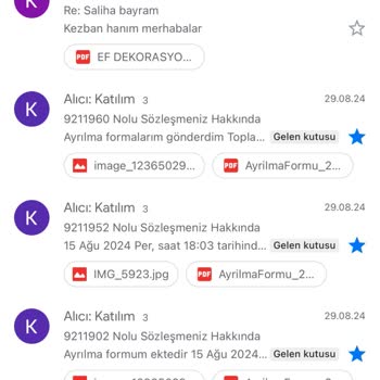 Emeklilik İptal Sürecinde Yaşanan Zorluklar