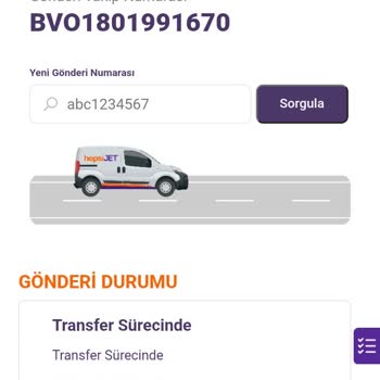 Karaca Ve Hepsijet İle Kayıp Kargo Macerası