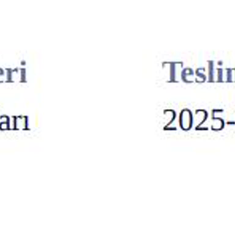 Araç Kiralamada Beklenmedik Sürprizler