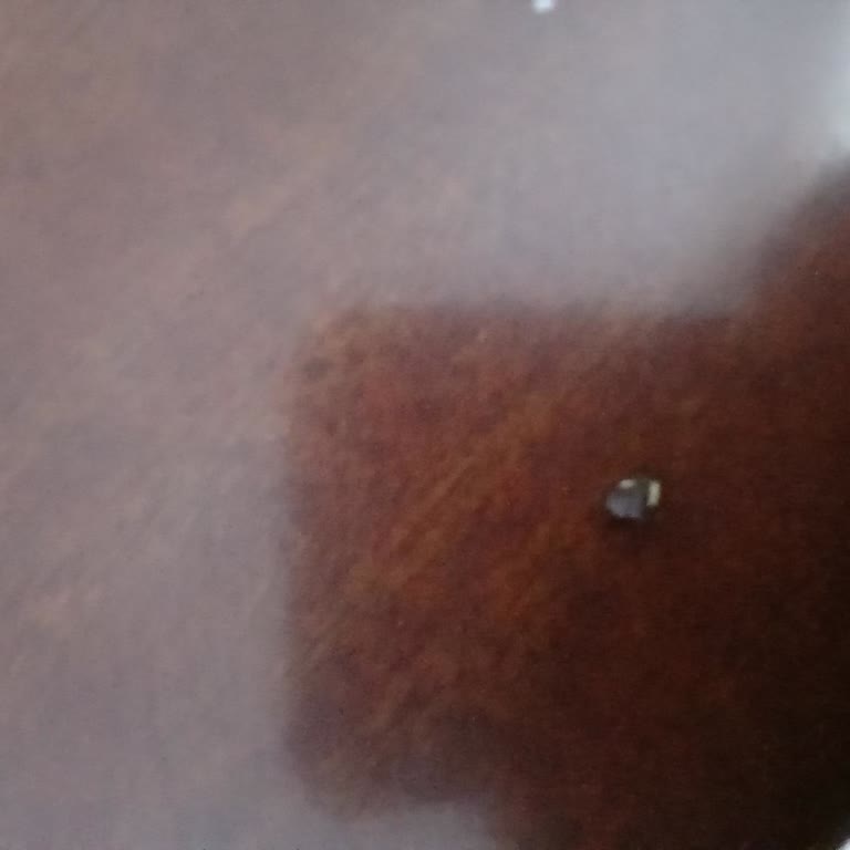 Cezeryede Diş Kıran Sert Cisim