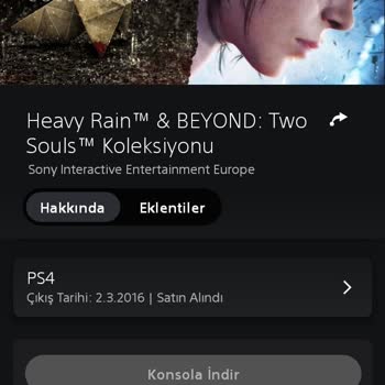 Yanıltıcı Dil Desteği: Oyun Koleksiyonunda Hayal Kırıklığı