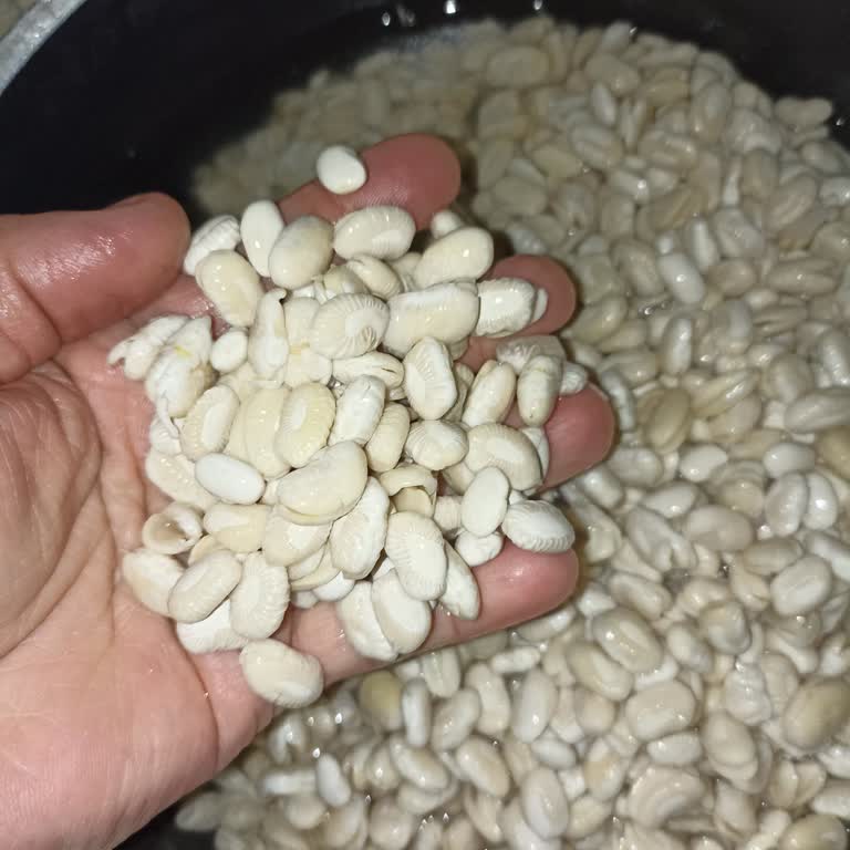 Hasata Marka Fasulyenin Kalitesi Hayal Kırıklığı!