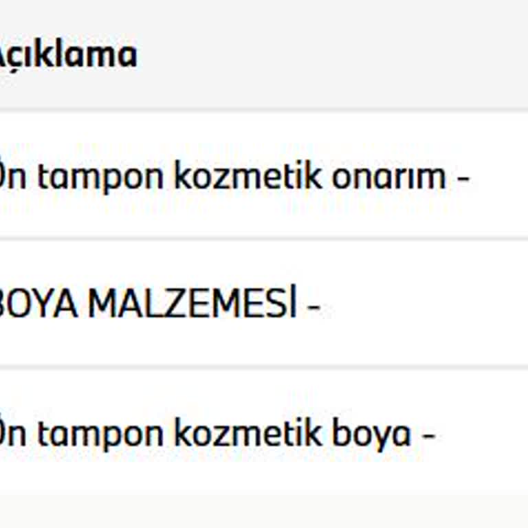 Borusan'dan Alınan Sıfır Araçta Gizli Boya İşlemi Şoku