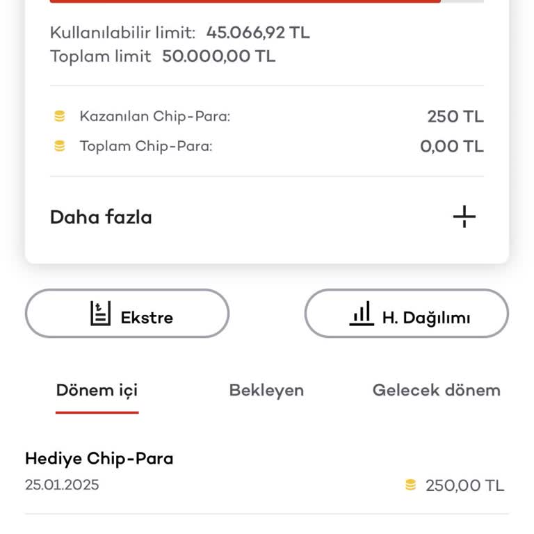 Akbank Çip Para Kullanım Sorunu Ve Yetersiz Müşteri Hizmeti