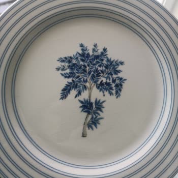 Porselen Diye Aldım, Seramik Çıktı