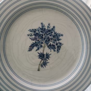 Porselen Diye Aldım, Seramik Çıktı