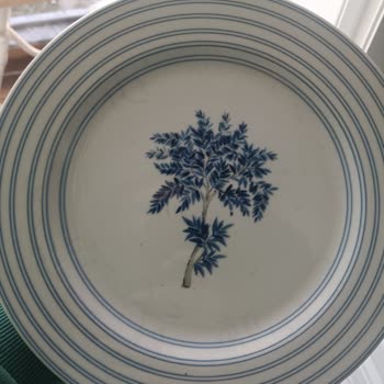 Porselen Diye Aldım, Seramik Çıktı