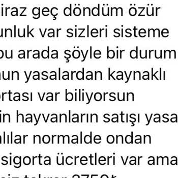 Yanıltıcı Hayvan Sahiplendirme Yöntemleri