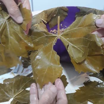 Koy Mahsulleri'nden Aldığım Kalitesiz Yapraklar