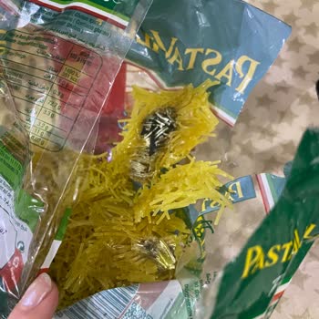 Marketten Alınan Şehriyede Küf Şoku