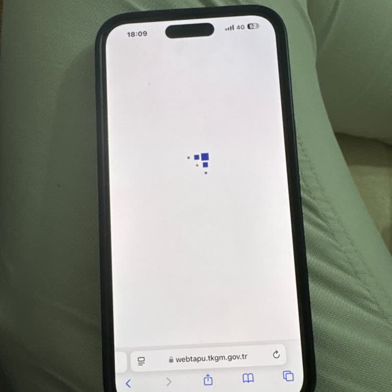 Web Tapu Sistemi Sorunları Ve Emlakçıların Zorlukları