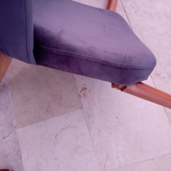 Mobilya Alışverişinde Hayal Kırıklığı Ve İletişim Sorunları