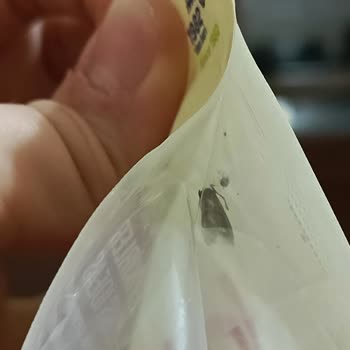 Migros'tan Aldığım Üründe Canlı Kelebek Şoku
