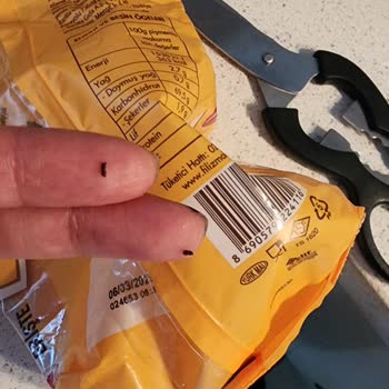 Paket Eriştelerde Böcek Sorunu