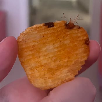 Ruffles Cipsin İçinden Çıkan Şaşırtıcı Sürpriz