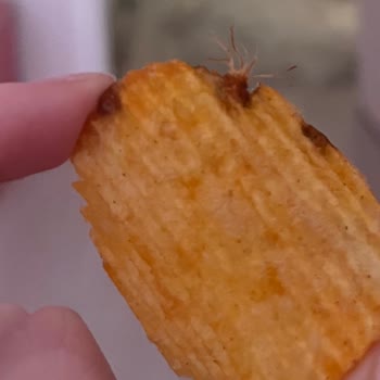 Ruffles Cipsin İçinden Çıkan Şaşırtıcı Sürpriz