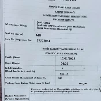 Park Alanında Yaşanan Kaos Ve Ceza Sorunu