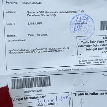 Park Alanında Yaşanan Kaos Ve Ceza Sorunu