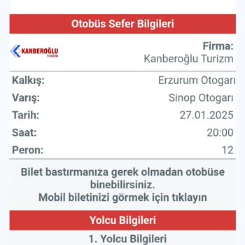 Yanlış Koltuk Numarasıyla Yaşanan Seyahat Sorunu