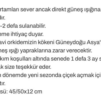 Yanıltıcı Mavi Orkide Satışı