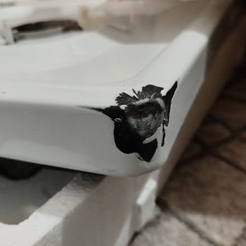 Simfer Servis Ücreti Ve Hasarlı Ürün Sorunu