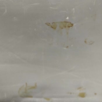 Chery Tiggo 7 Trafik Seti Sorunu Ve Yanlış Ürün Gönderimi