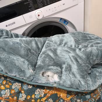 Yataş Uyku Seti: 2,5 Ayda Parçalanan Hayal Kırıklığı