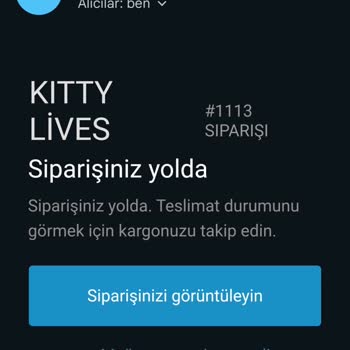 Kitty Lives Kapanan Site Ve Belirsiz Kargo Sorunu