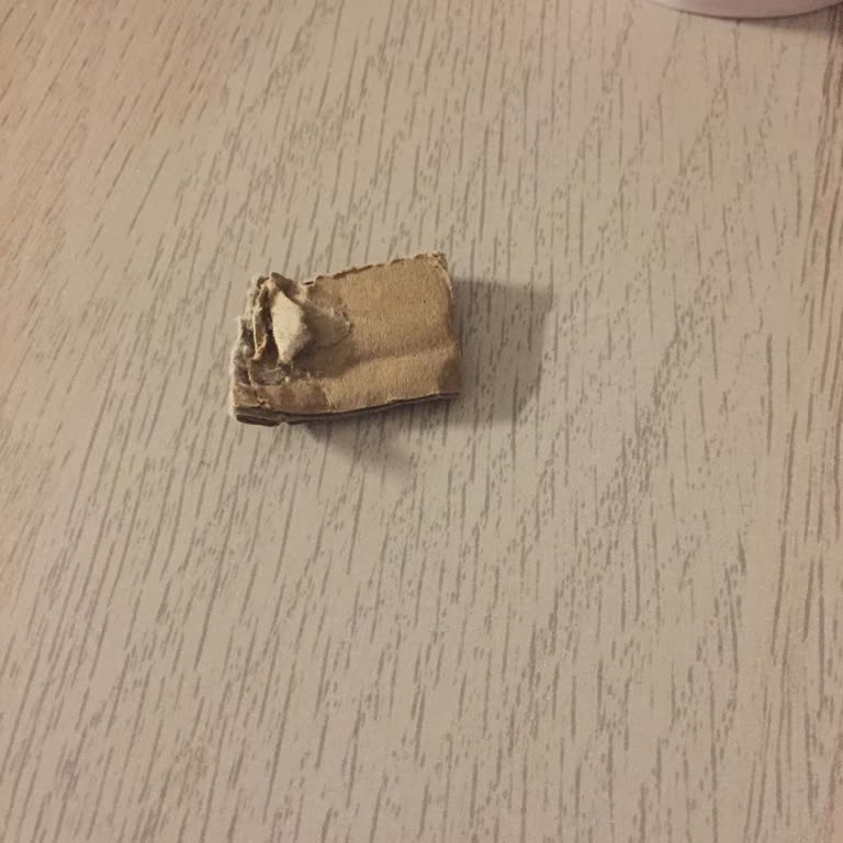 Meyveli Kış Çayında Karton Sürprizi