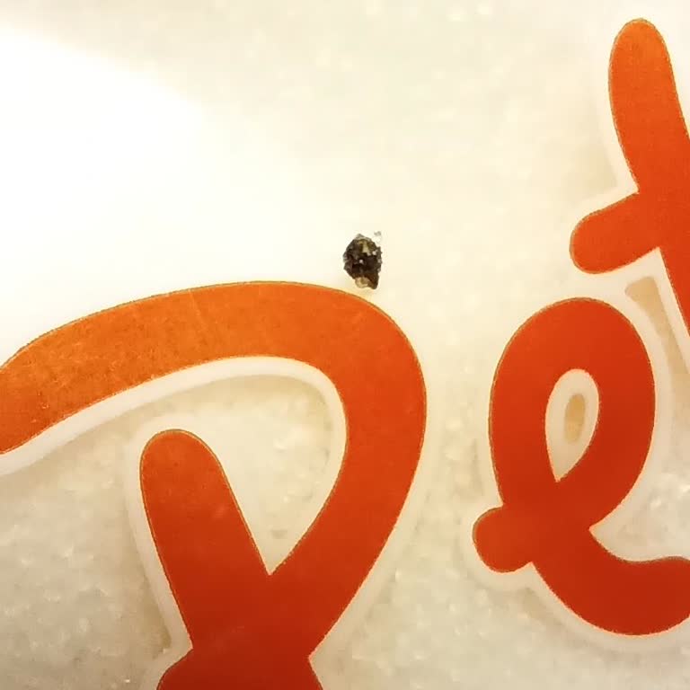 A101'den Aldığım Şekerden Çıkan Şok Edici Sürpriz