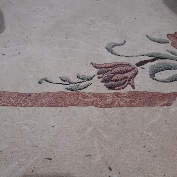 English Home Battaniyeleri: Tüy Sorunu Ve Hayal Kırıklığı